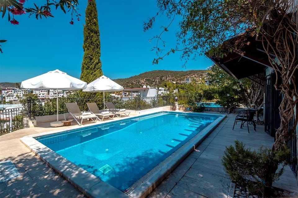 Day, Pool view, Swimming pool, sunbed