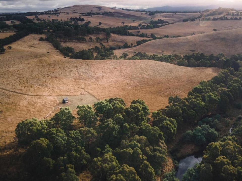 Off-Grid Cabin Nestled in Nature - Pet Friendly - Ottessa Cabin in Victoria