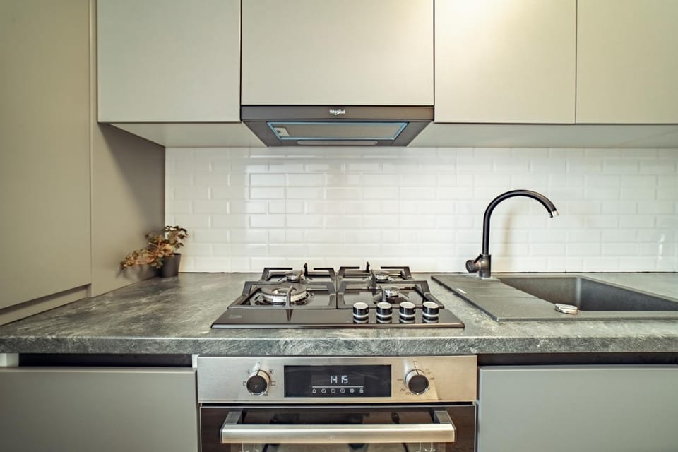Kitchen or kitchenette, minibar, pet friendly, stove