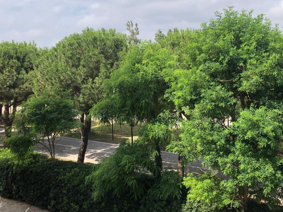 Vista mare Apartment in Lido di Savio
