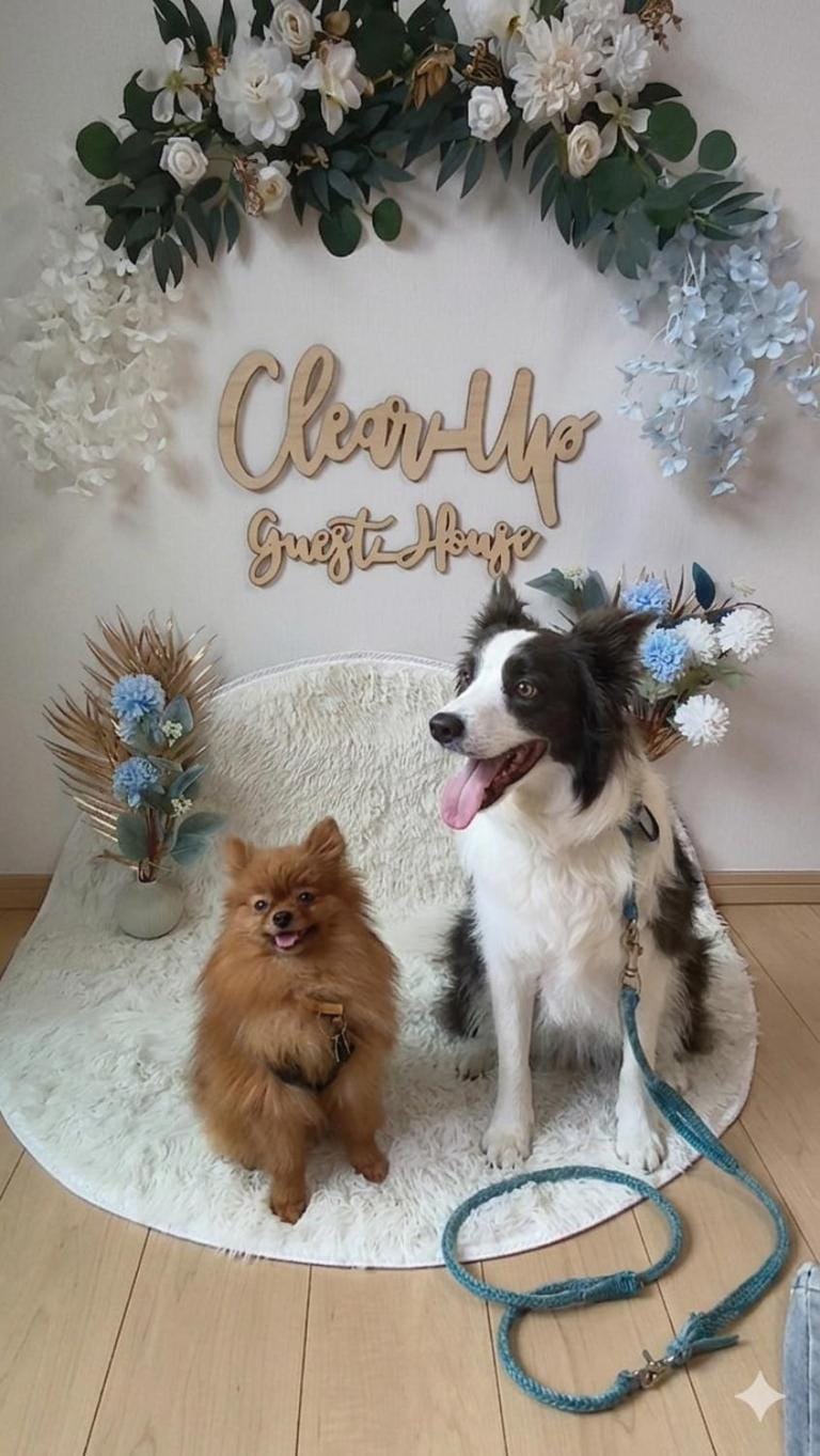 Animals, Animals, Animals, Pets, Pets, Pets, pet friendly, pet friendly