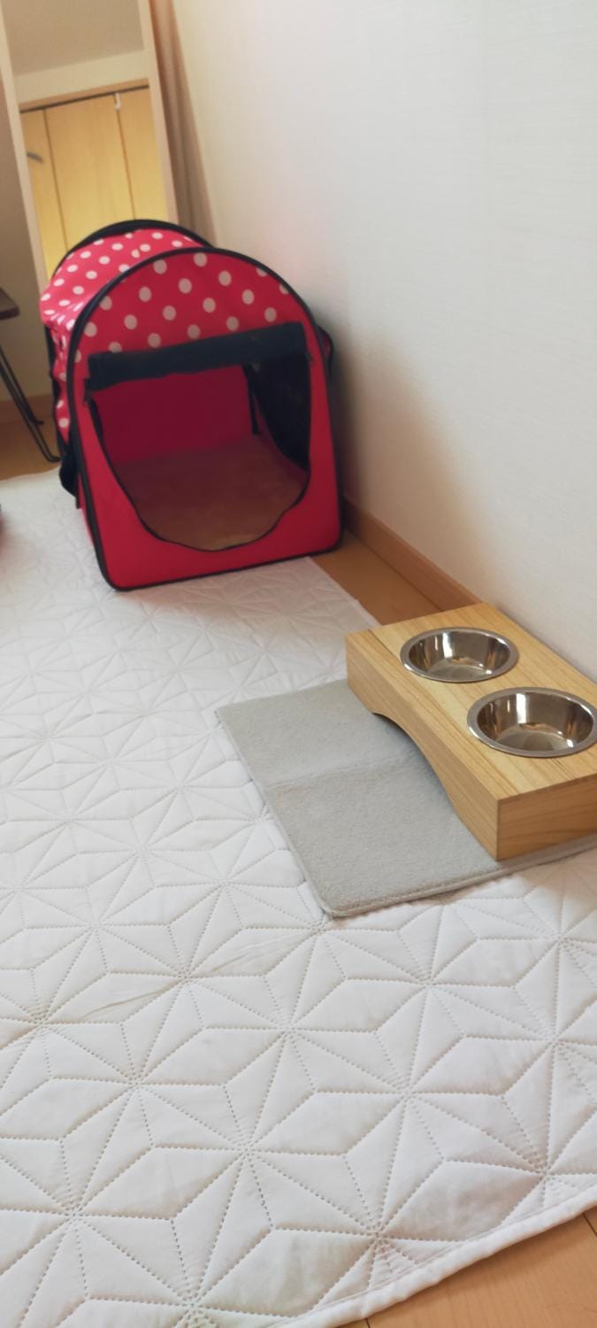犬と泊まれる宿 Clear Up Guest House ペット可 Bed and Breakfast in Osaka Prefecture