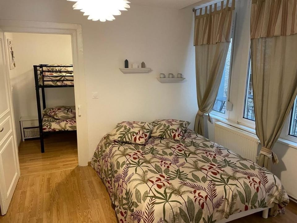 Colmar Centre renovated cottage 4 people - terrace Apartment in Colmar