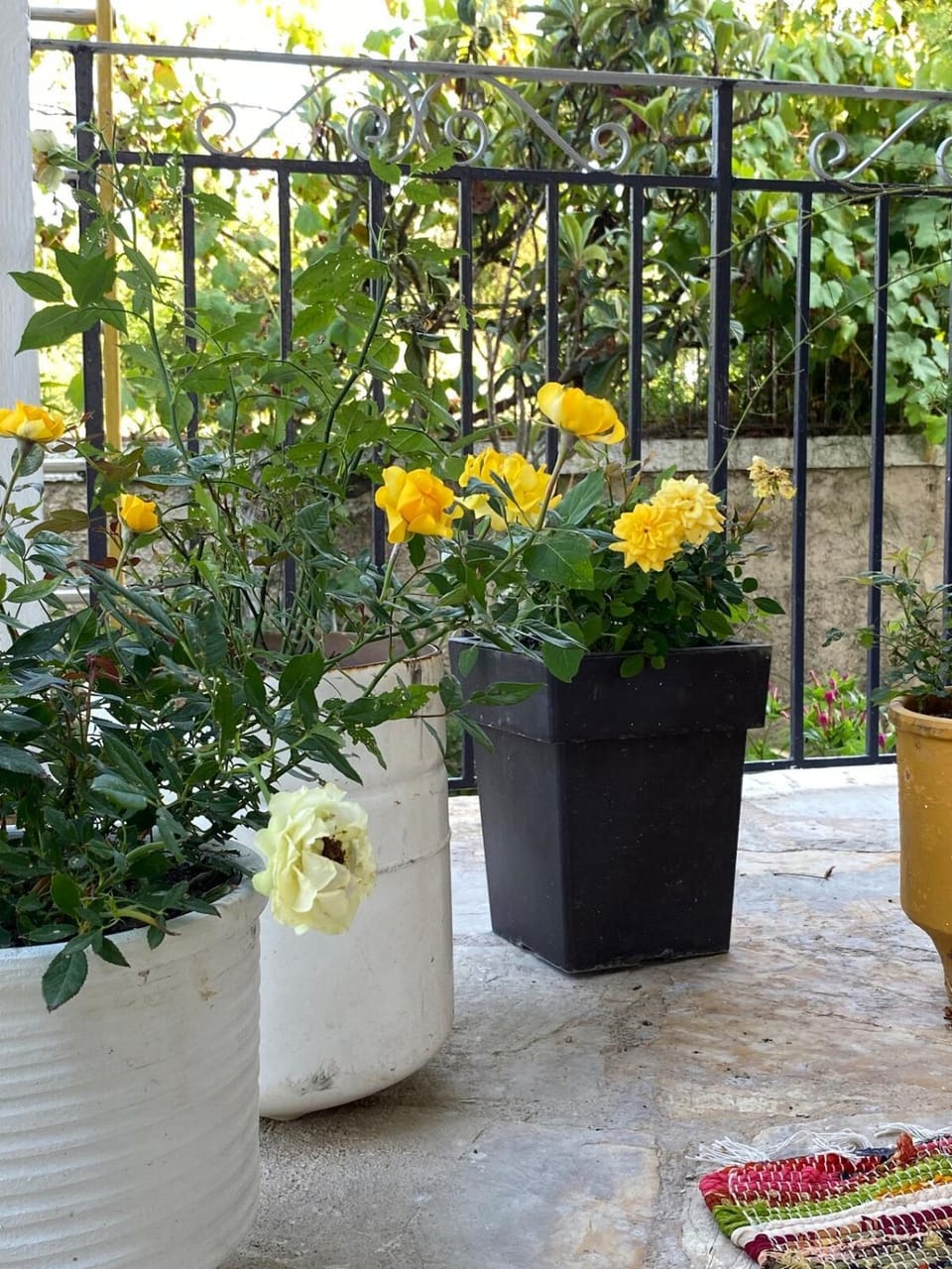 Amalia 21 Apartment Apartment in Corfu