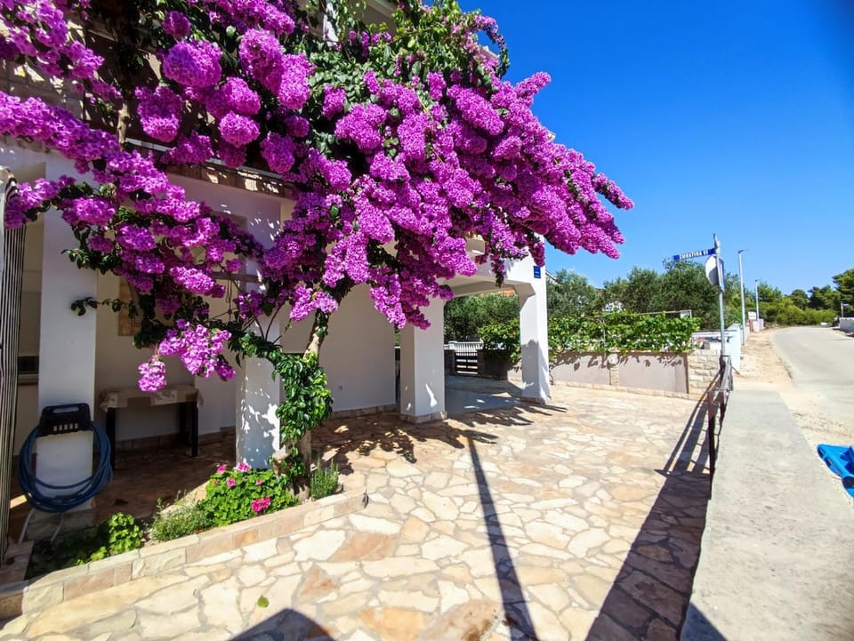 Patio, Garden view
