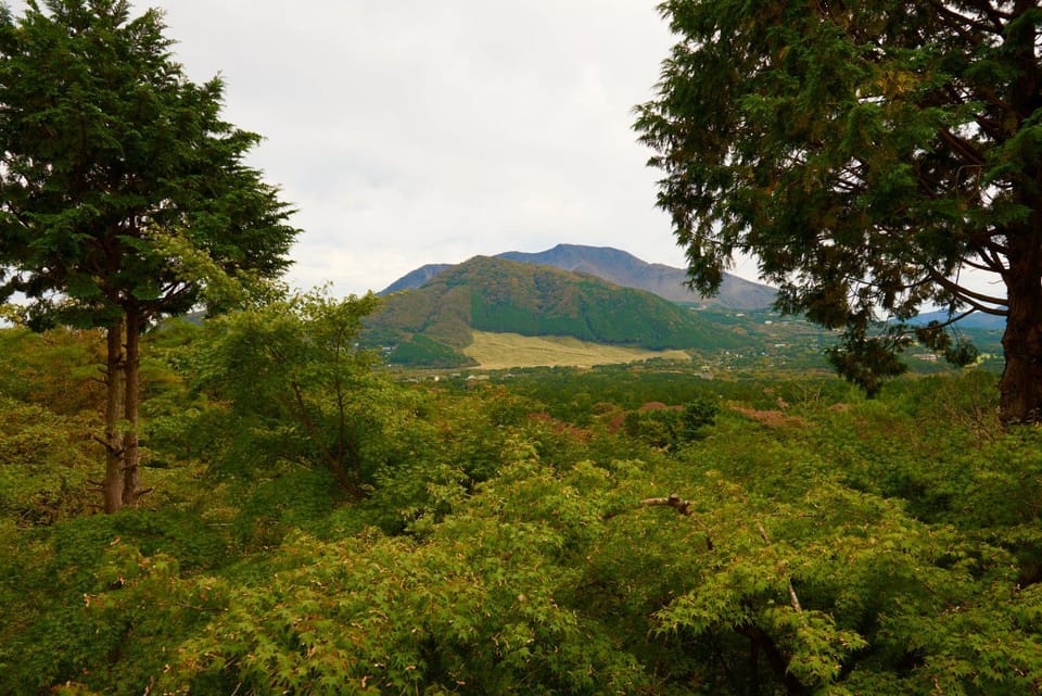 Natural landscape