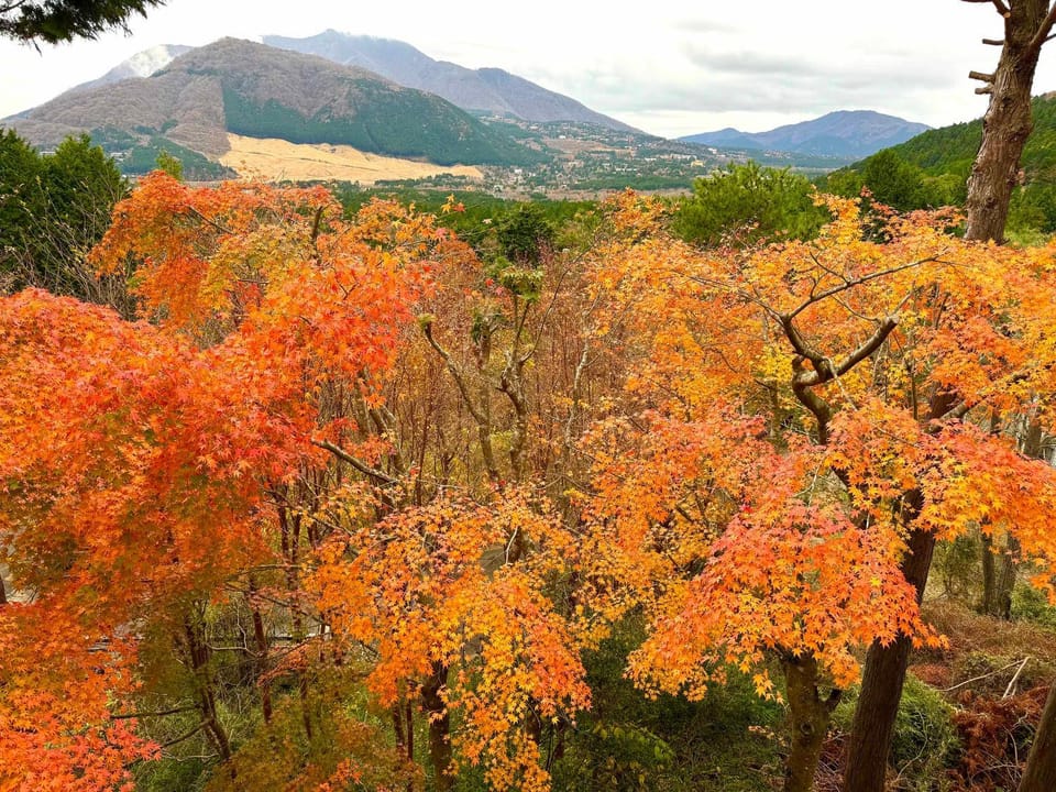Natural landscape