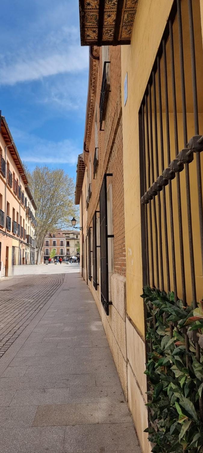 La Casona del Cardenal Apto1 Apartment in Alcala de Henares