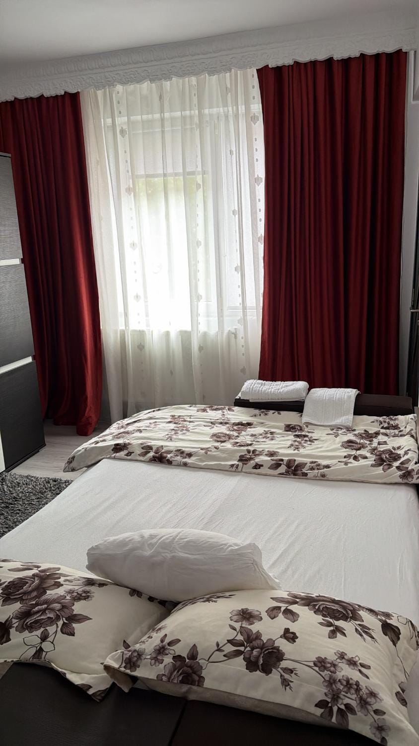 Studio Lotus Zalău Apartment in Cluj County