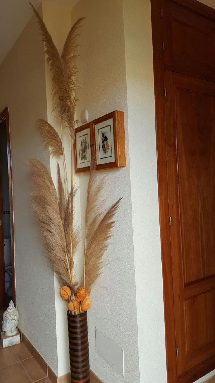 Lobby or reception, wardrobe