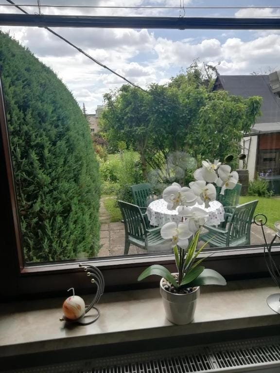 Kleines Haus mit Geschichte Apartment in Chemnitz