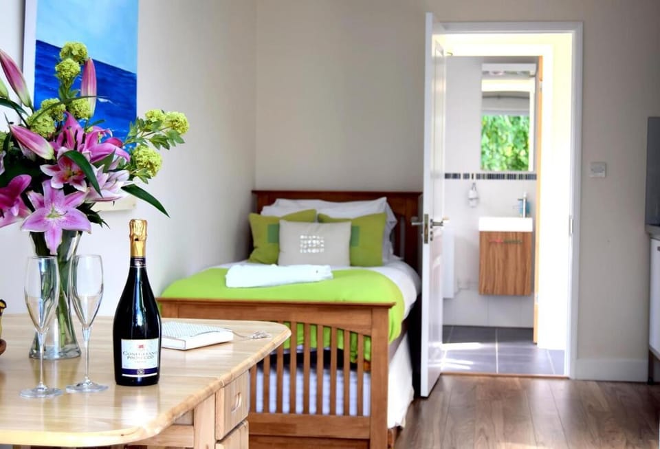 Sunny Studio with privacy and parking in Oxford Apartment in Oxford