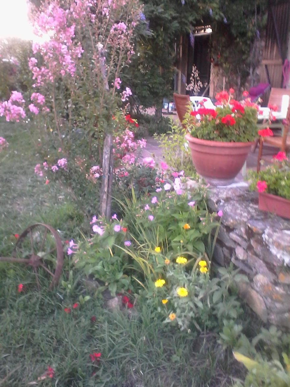 Garden, Garden view