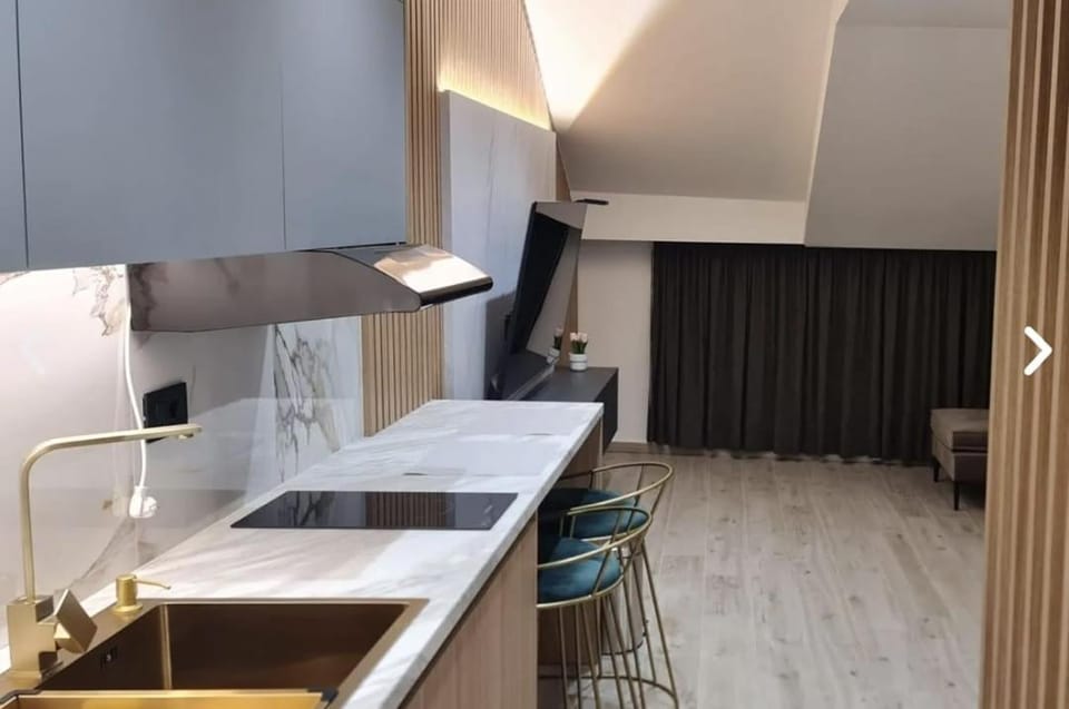 Kitchen or kitchenette, minibar, stove