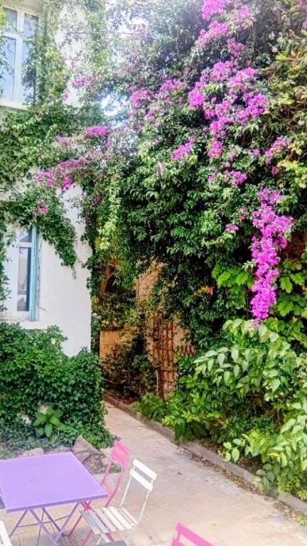 Villa Palma, studio indépendant dans maison de charme avec jardin en centre ville Apartment in Montpellier