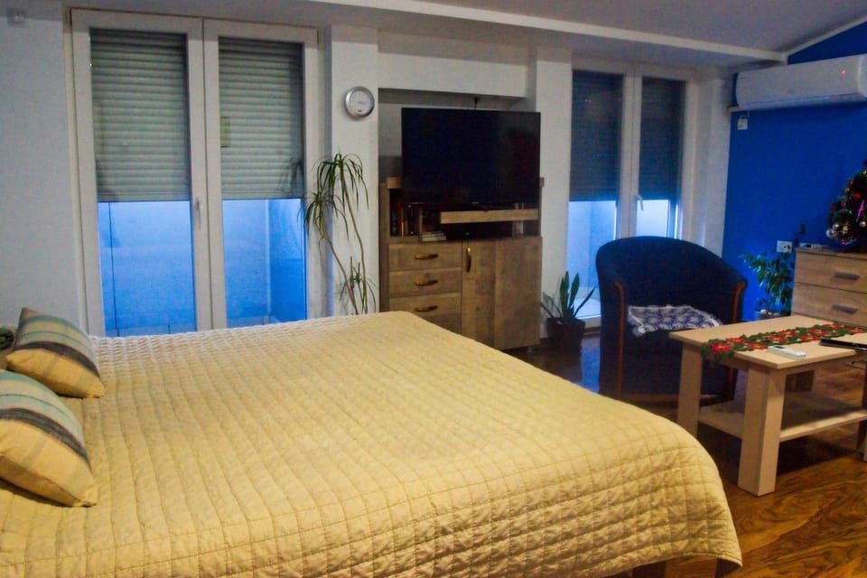 Bed, TV and multimedia, Living room, Photo of the whole room, Seating area, Bedroom