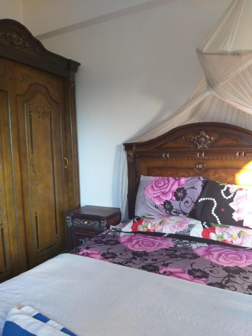 Ziggy Marley Backpackers Hostel Bed and Breakfast in Luxor Governorate