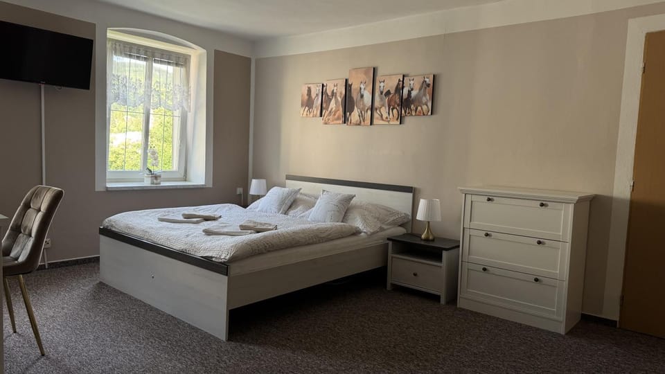 Penzion Jeseník Bed and Breakfast in Czechia