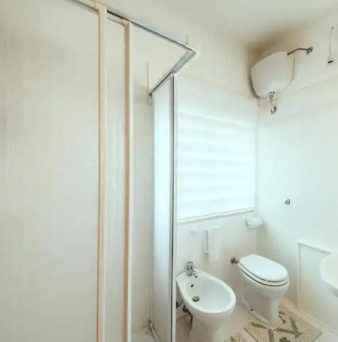 Shower, Toilet, Bathroom, bidet