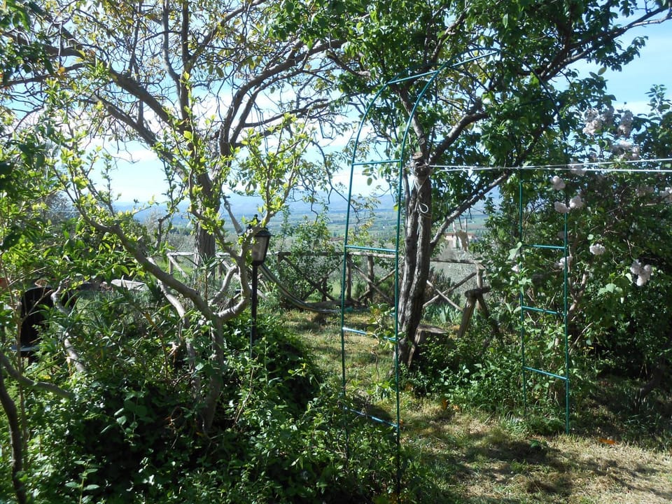 B&B Il Sentiero di Assisi Bed and Breakfast in Umbria