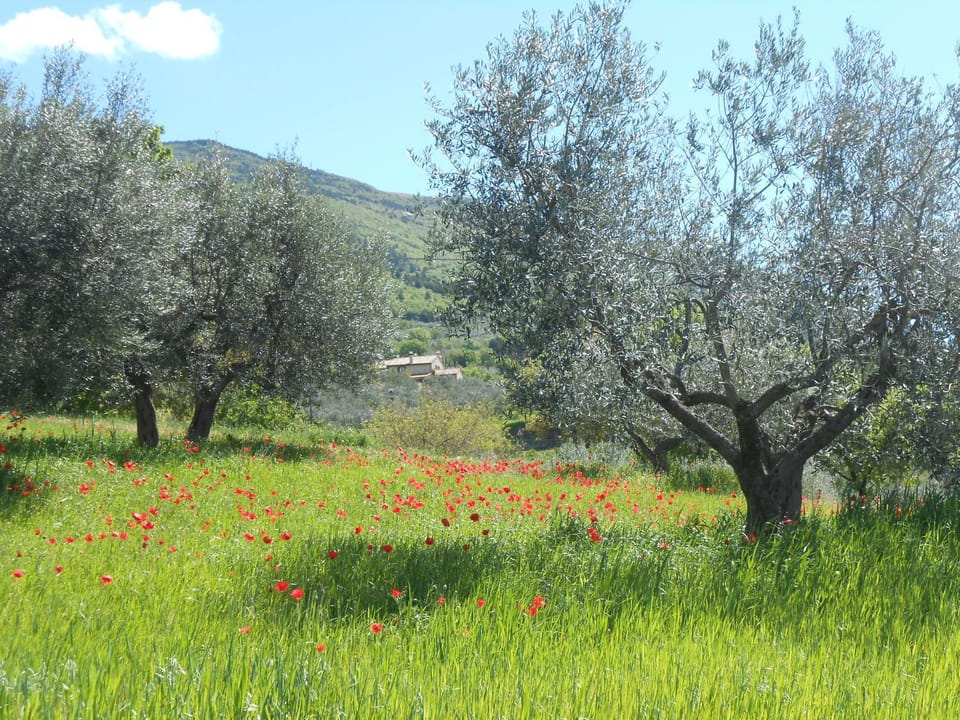 B&B Il Sentiero di Assisi Bed and Breakfast in Umbria