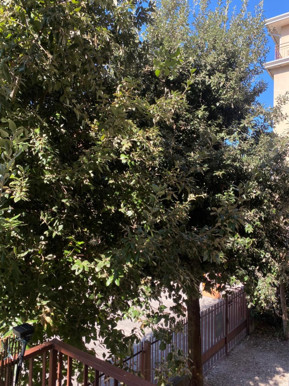 Quiet street view
