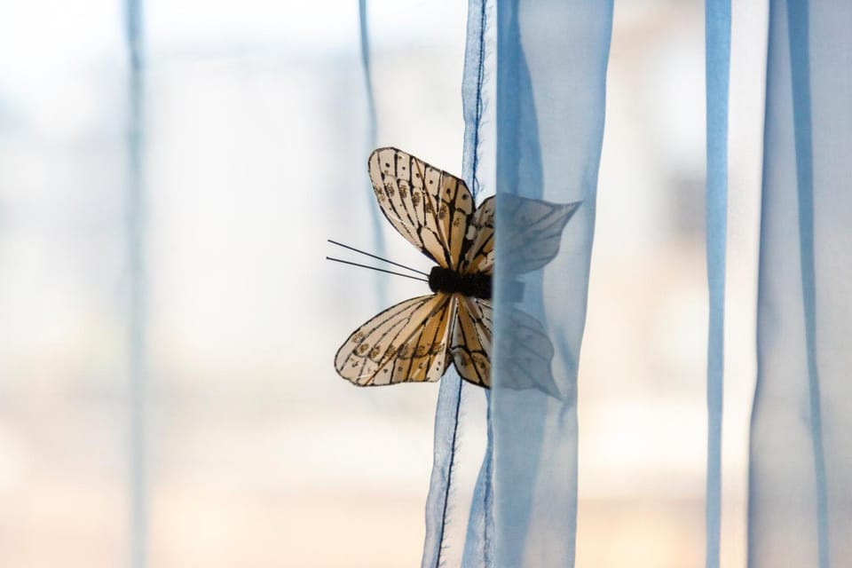 Studio Turquoise à 100m de la plage Apartment in Bénodet