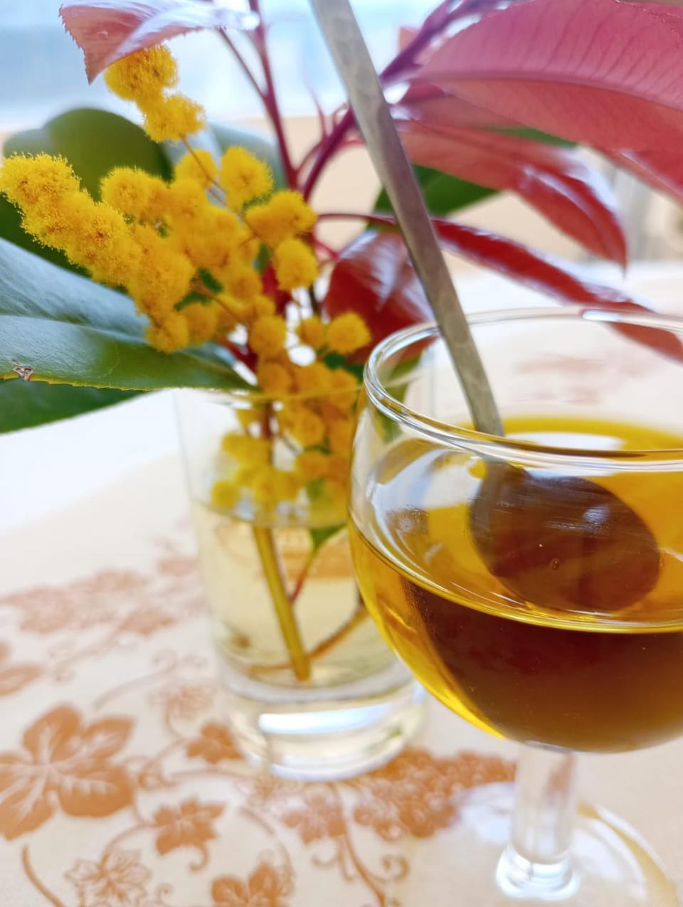 La Fetuseria bistrot & camere Bed and Breakfast in Senigallia