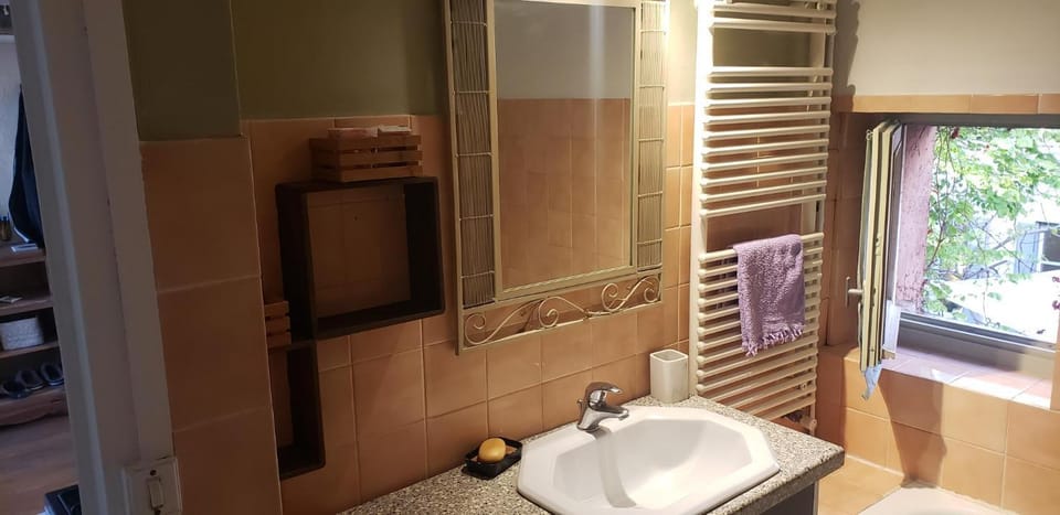 amazing view appartment Apartment in Lyon