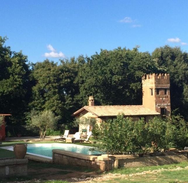 Natural landscape, Garden, Garden view, Swimming pool, sunbed