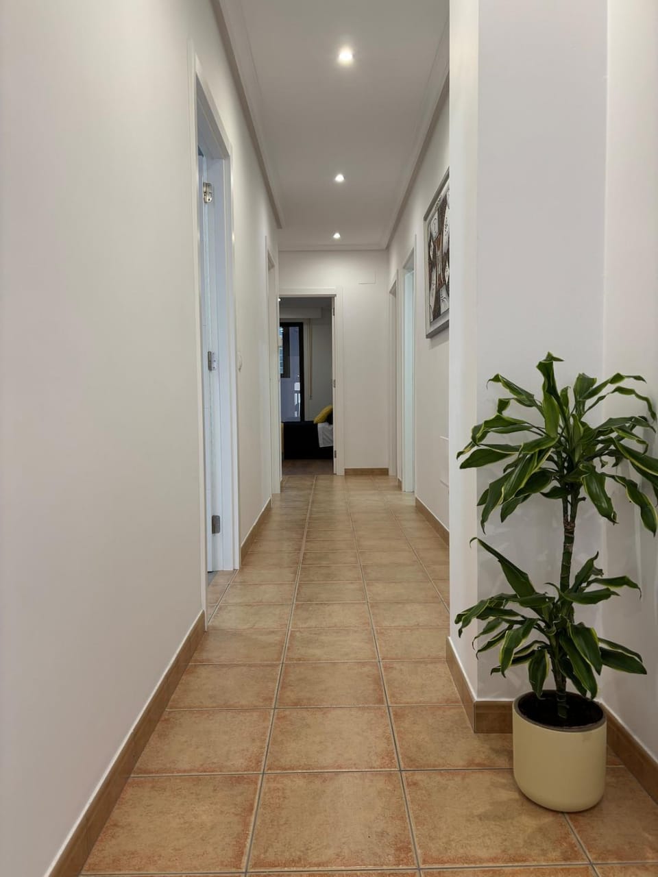 Piso Carballal, Fantástico piso en pleno centro Apartment in Galicia
