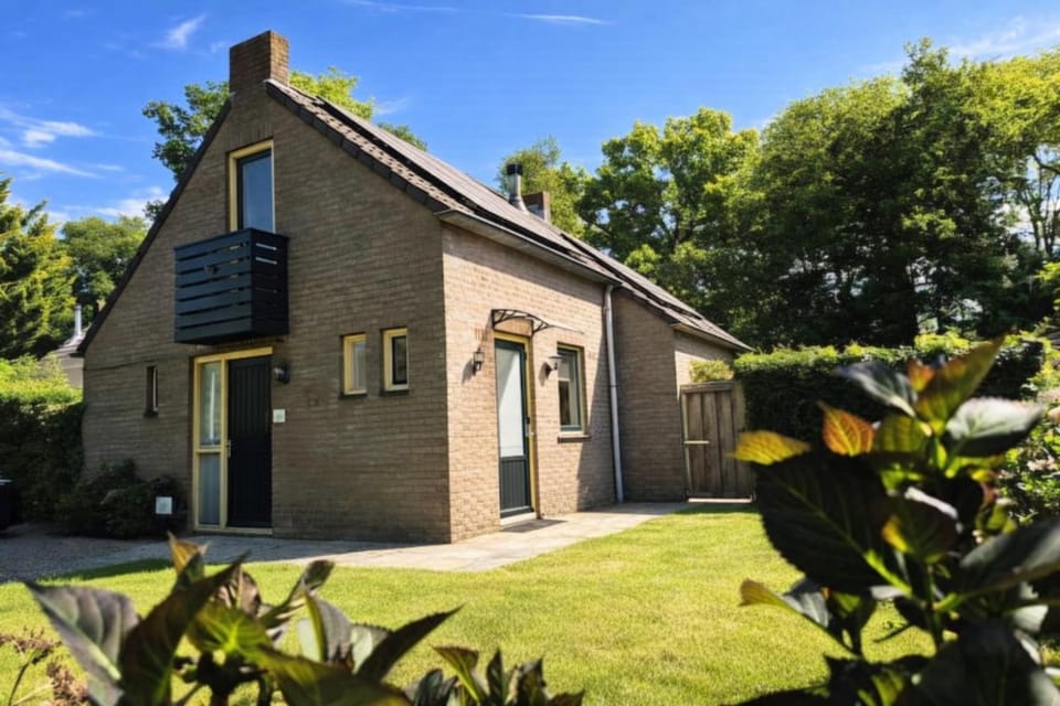 Property building, Summer, Garden
