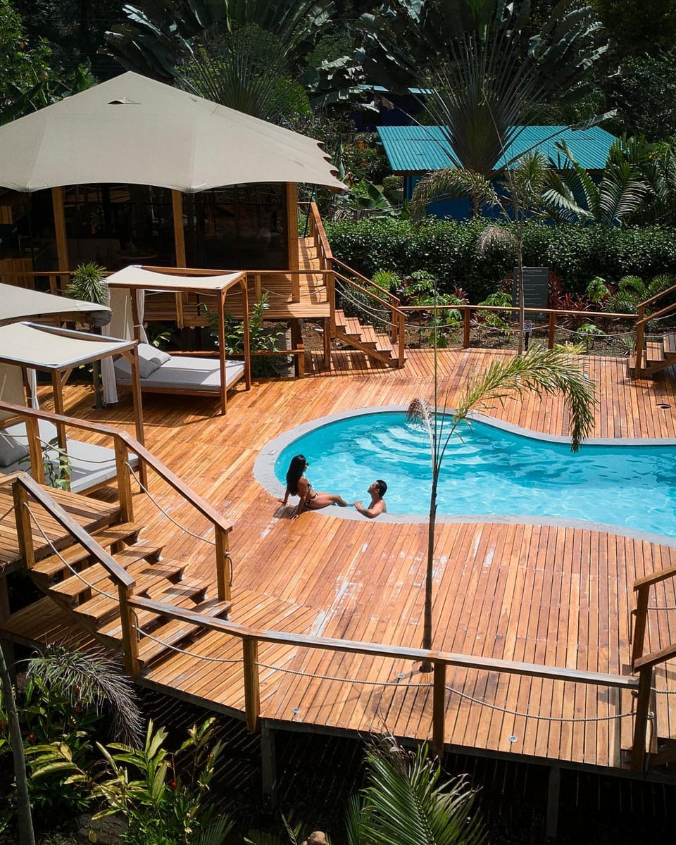 Patio, Day, Natural landscape, Swimming pool, sunbed