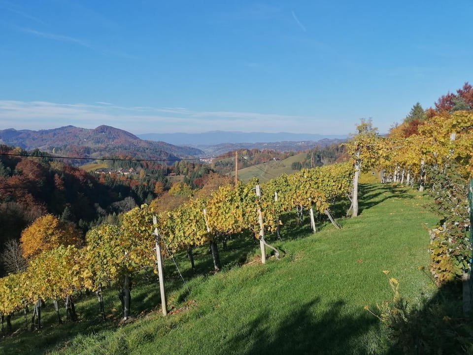 Natural landscape