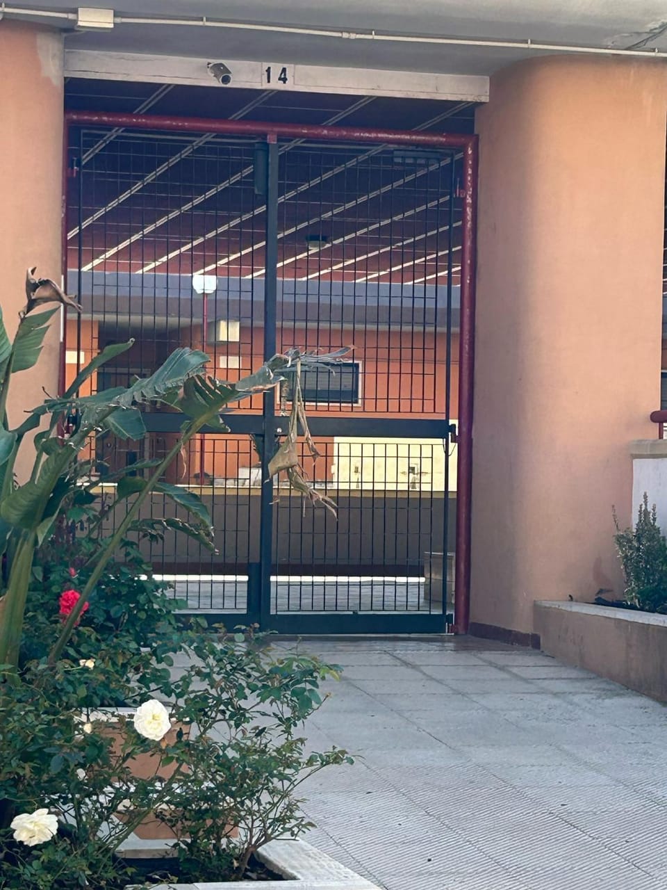 Property building, elevator