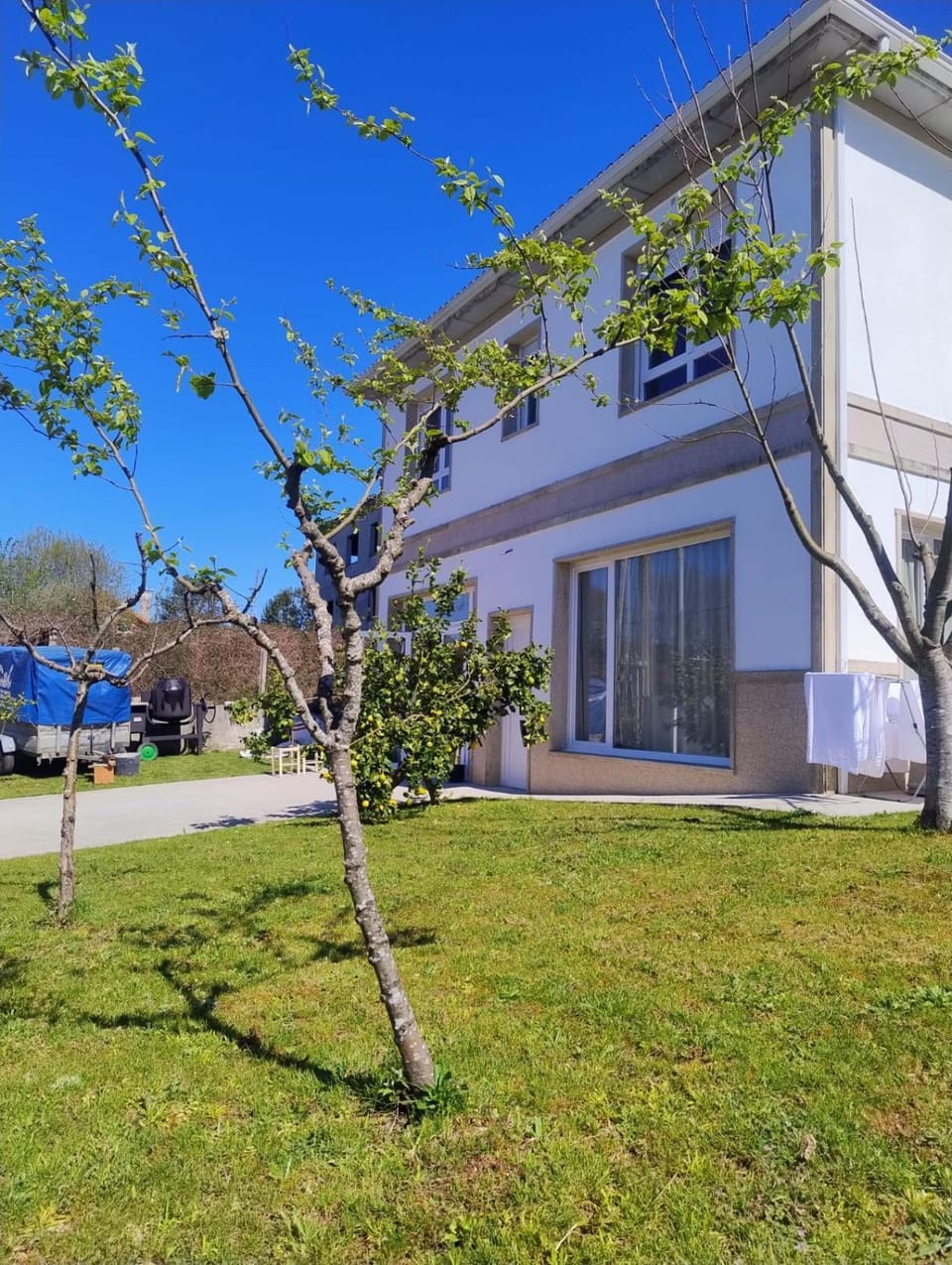 Property building, Day, Garden, Garden