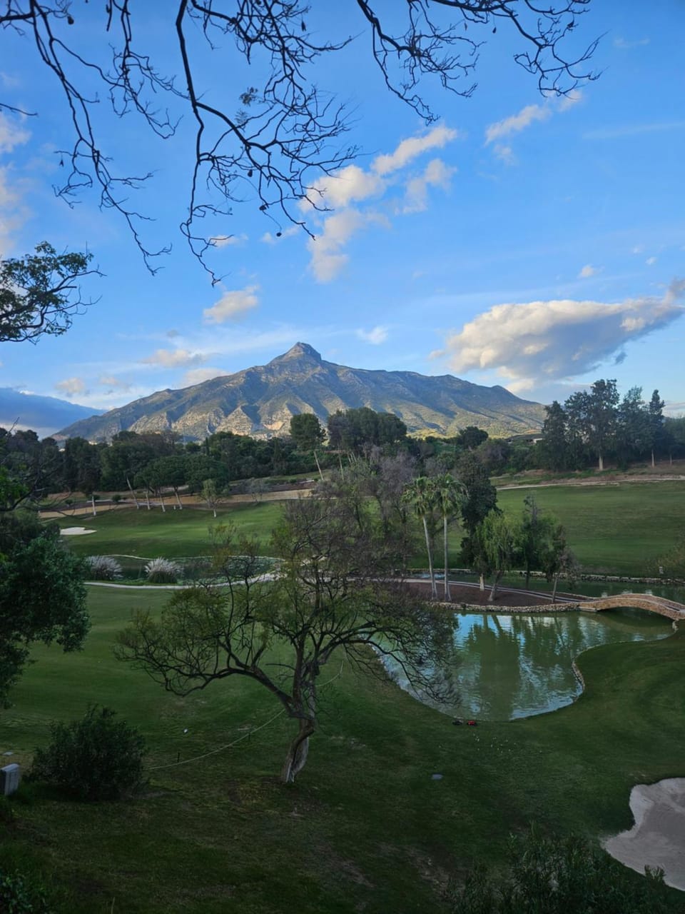 Mountain view