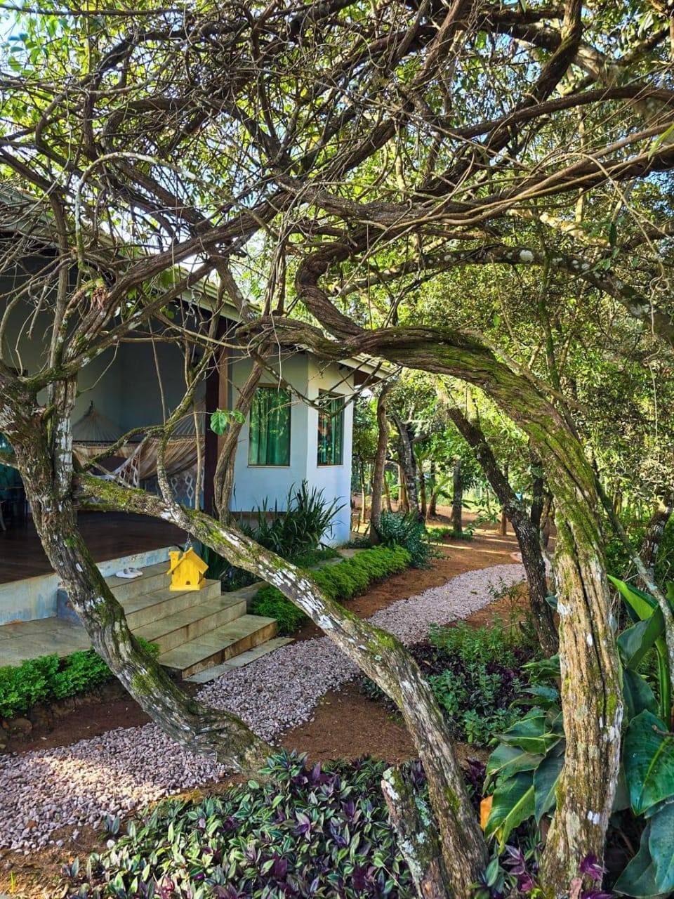 Day, Natural landscape, Garden, Garden, Garden view