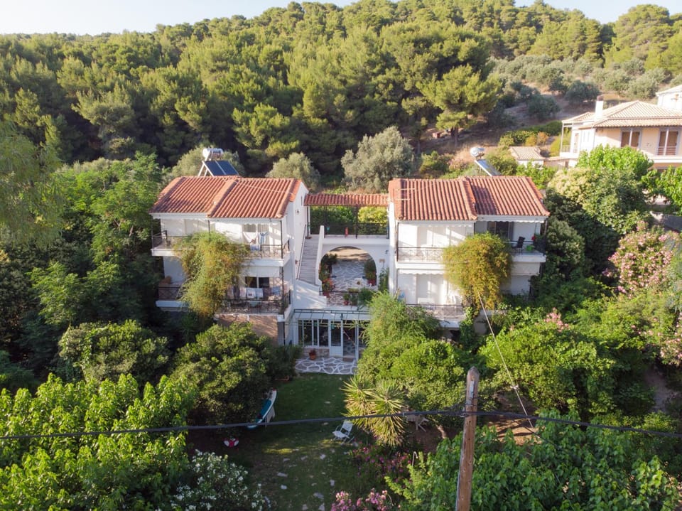 Property building, Bird's eye view