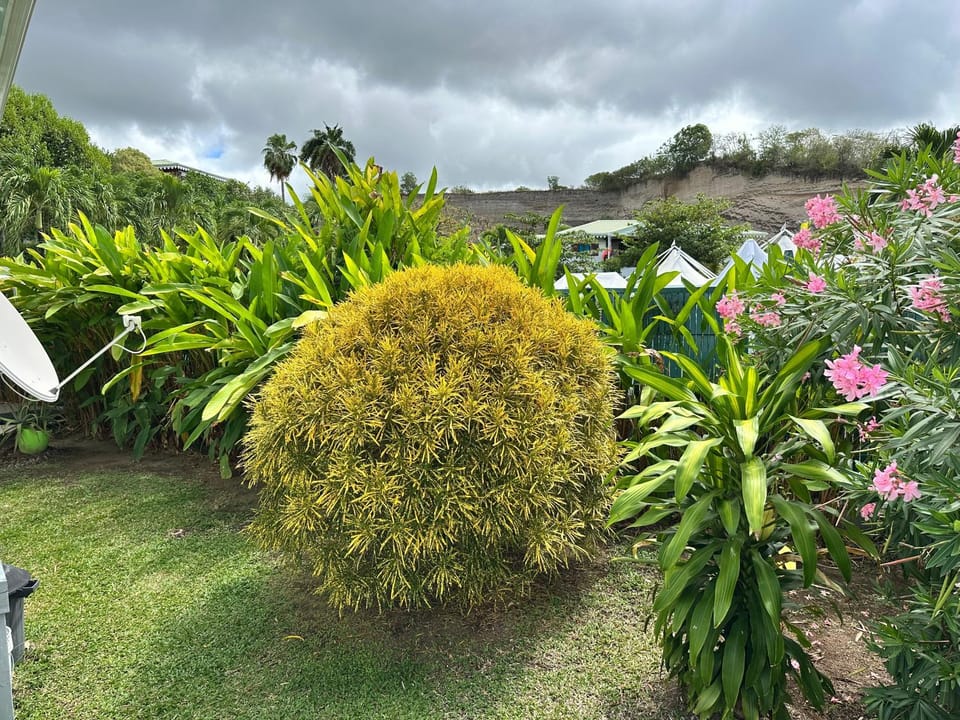 Garden, Garden view