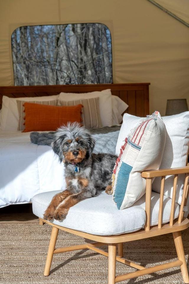 Fabulous Michigan Glamping Getaway near South Haven Luxury tent in Michigan