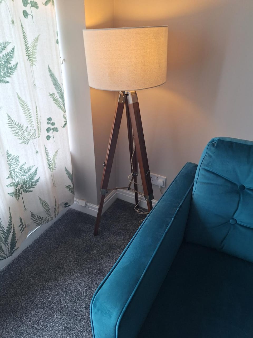 Communal lounge/ TV room, Living room