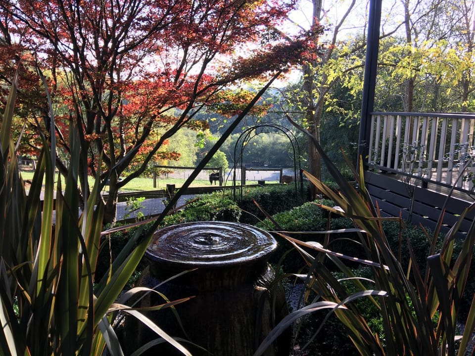 Garden, Balcony/Terrace