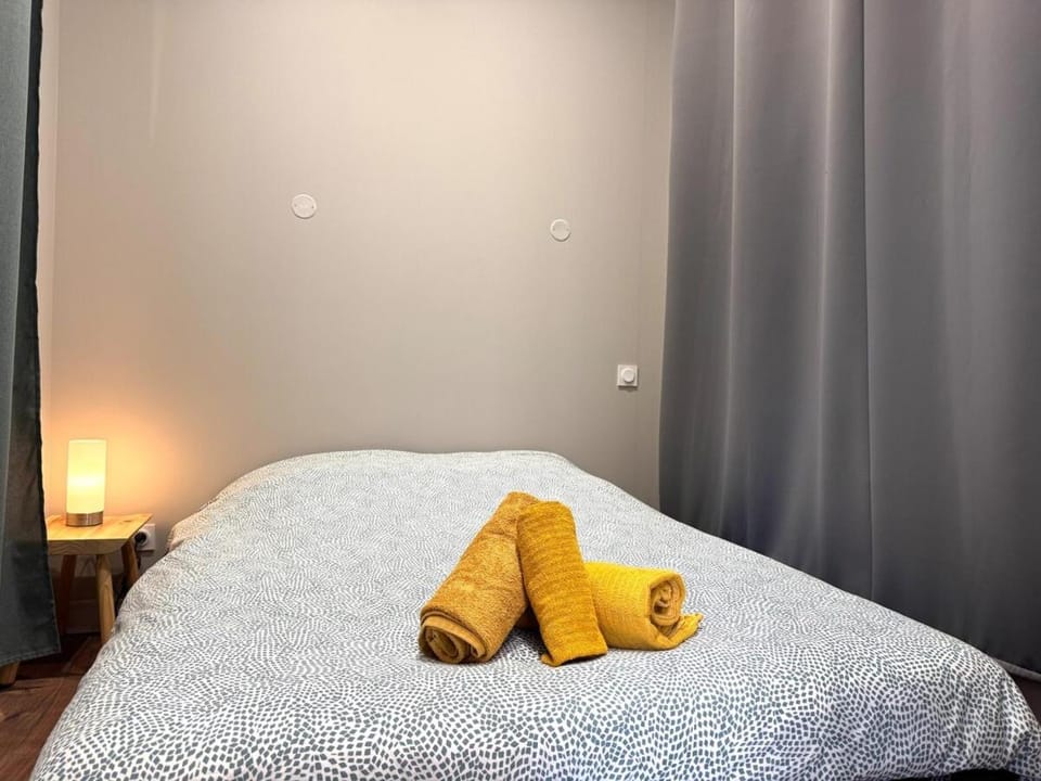 Appartement agréable proche gare Apartment in Auvergne-Rhône-Alpes