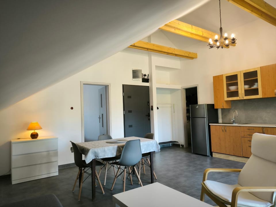Kitchen or kitchenette, Living room, Dining area