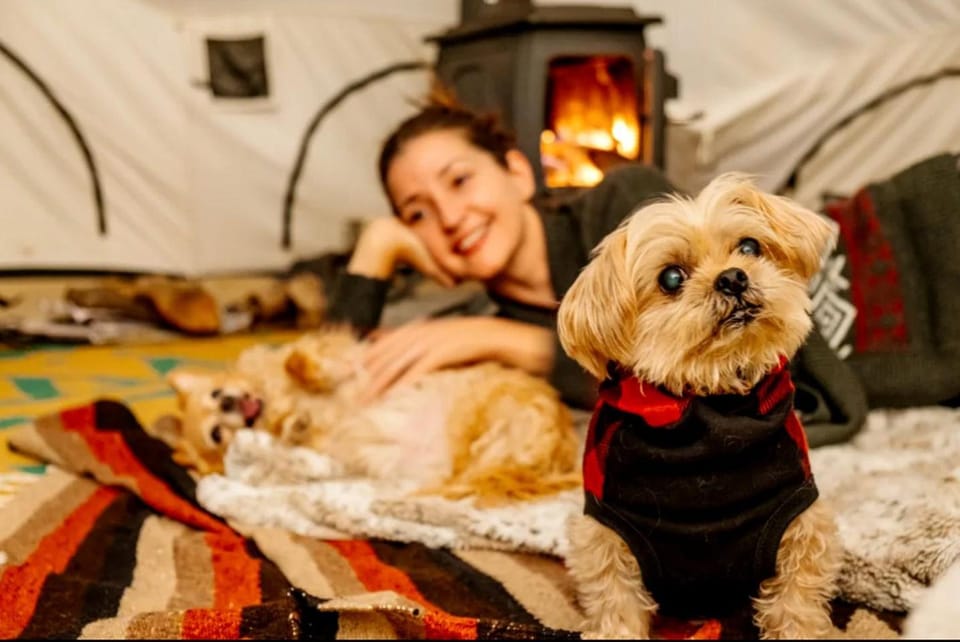 Piebald Mountain Pet Friendly Tents, Petersburg, New York Luxury tent in Berkshires