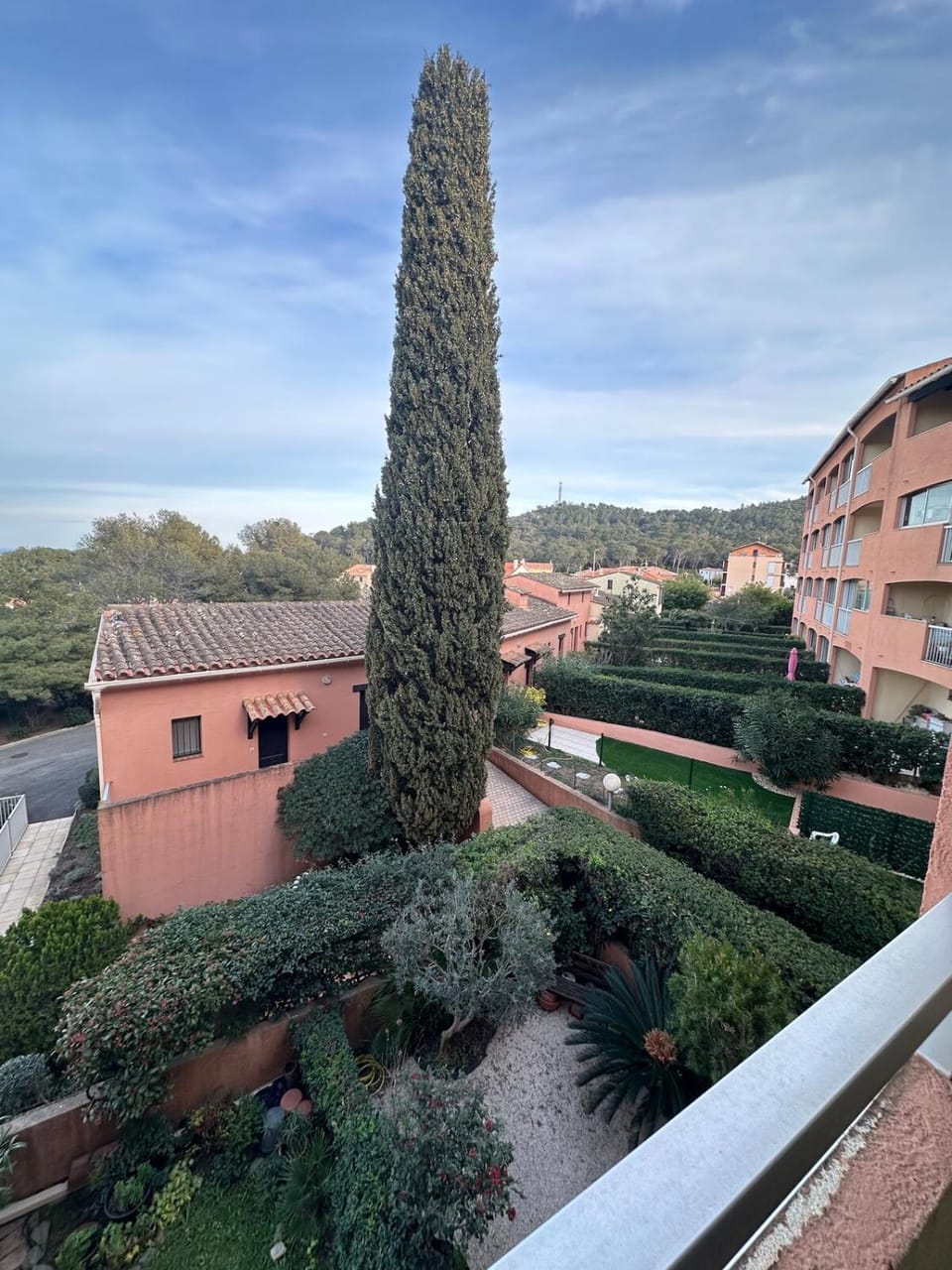 Garden view