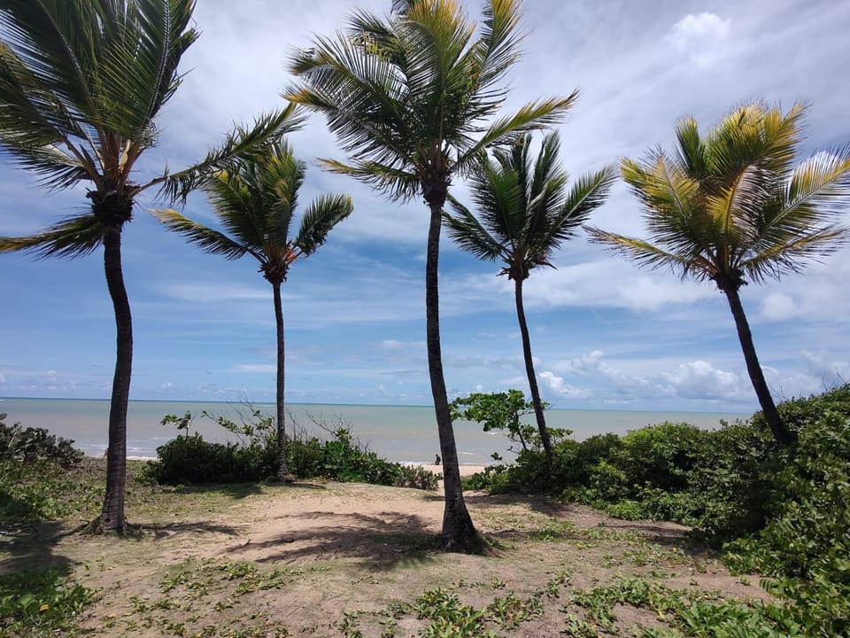 Day, Natural landscape, Beach