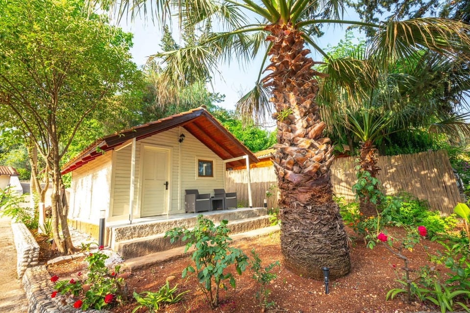 Property building, Garden view