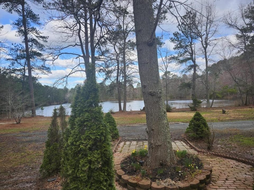 Lake view